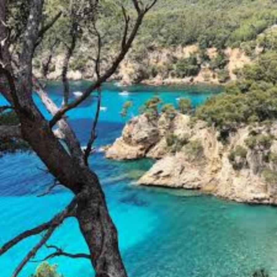 Le Retour Villa Saint-Cyr-sur-Mer Dış mekan fotoğraf